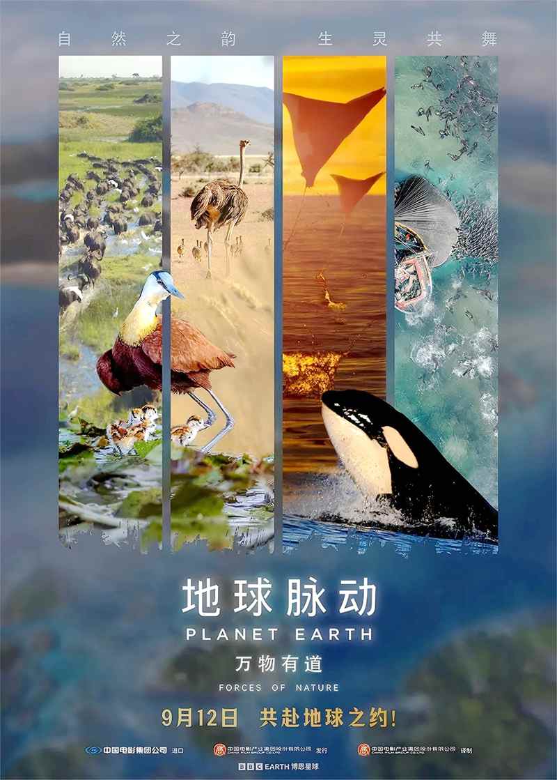 娱见风景环境景观故事气氛